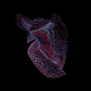 ممکن